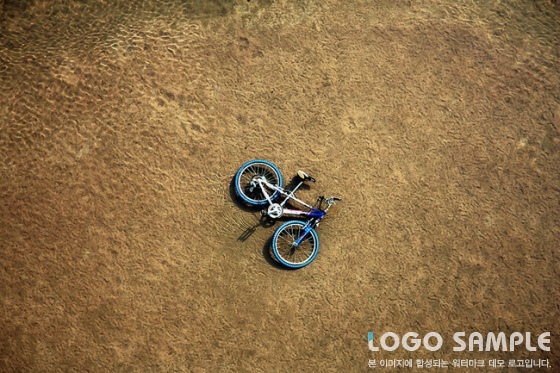 사막화된 자전거의 일상