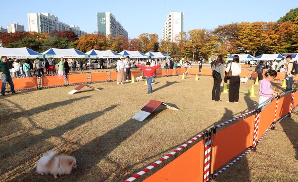 광명시가 지난 28일 주최한 반려동물 문화축제가 3천여 시민과 반려견의 호응 속에 막을 내렸다